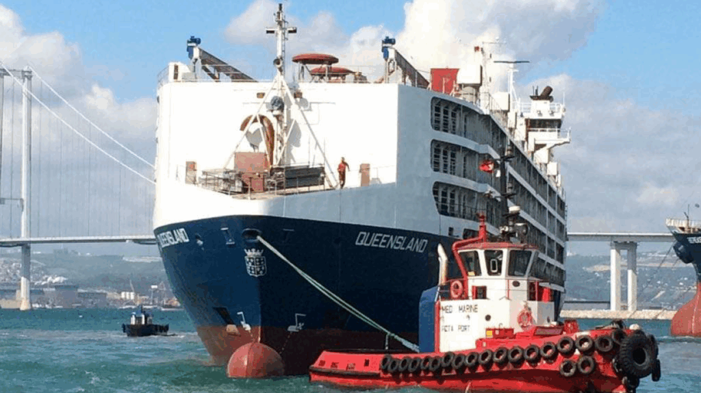 Queensland Livestock Carrier